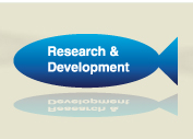 Research & Development