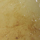 Surface View : 24 Hours after Addition