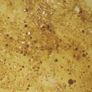 Surface View : 4 Hours after Addition