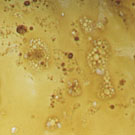 Surface View : Immediately after Addition