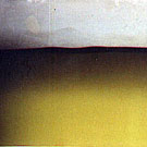 ʓ
