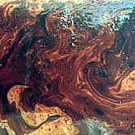 Surface View : 24 Hours after Addition