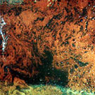 Surface View : 72 Hours after Addition