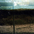 Side View : 4 Hours after Addition