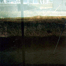 Side View : 24 Hours after Addition