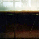 Side View : 72 Hours after Addition