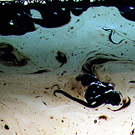 Surface View : 24 Hours after Addition